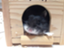 id:grasshopper0408