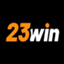h23winkdcom