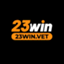 h23winvet11