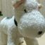 id:haha0722