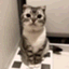MARU