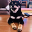id:hakkutsu-bimi-to-Bishunotabi