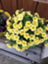 id:hanamaru-100
