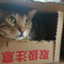 id:hanamomo330