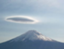 id:hanaregasa