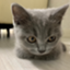 id:hangul60