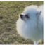 id:hanza-blog