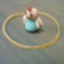 こっとん