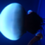 id:happy2-cry2