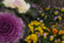 id:happyflowertrees