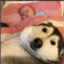 id:happylife-deikouka