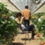 id:harabutori_blog