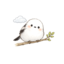 id:harenotikumori_tokidokiame