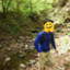 id:hariparu0114