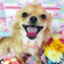 id:haruet