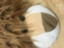 id:harukajiateng