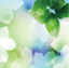 id:harukanaomoi