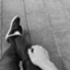 id:hasamiroot8187