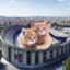 id:hasumyon-football