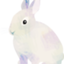 id:hataraku-usagi