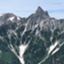 id:hatonotamaga
