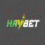 haybettech