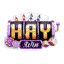 haywinorg3