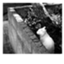 id:he_wrote_sth