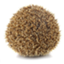 id:hedgehog-1
