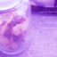 id:herbatelier