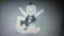 id:hibarido