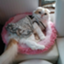 id:hidedesu