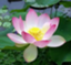 id:hijiri2050