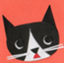 id:hinoyayaco