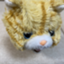 id:hioki-daichi