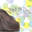 id:hippopopo