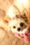 id:hiroimai702