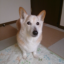 id:hiroko1022_1970