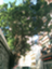 id:hisnd