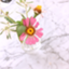 id:hiyo___co