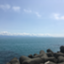 id:hiyokoland