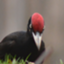 id:hkh61191801