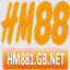 hm881gbnet