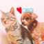 id:hokuroao