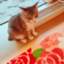 id:honobono-ru--chan