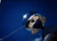 id:hotaru42018