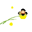 ほたる