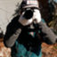 hpotoblog