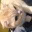 id:hukaiuminoao
