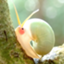 id:i-maimai